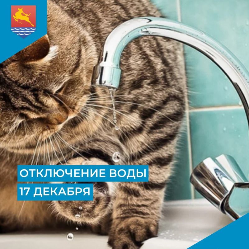 ��� ���������� ��������, ��� � ����� � ������������� ��������� ��������-����������������� ����� � �����, 17 ������� � 9:30 �� 13:30 �������� �������� ������������� �� ��������� ������: