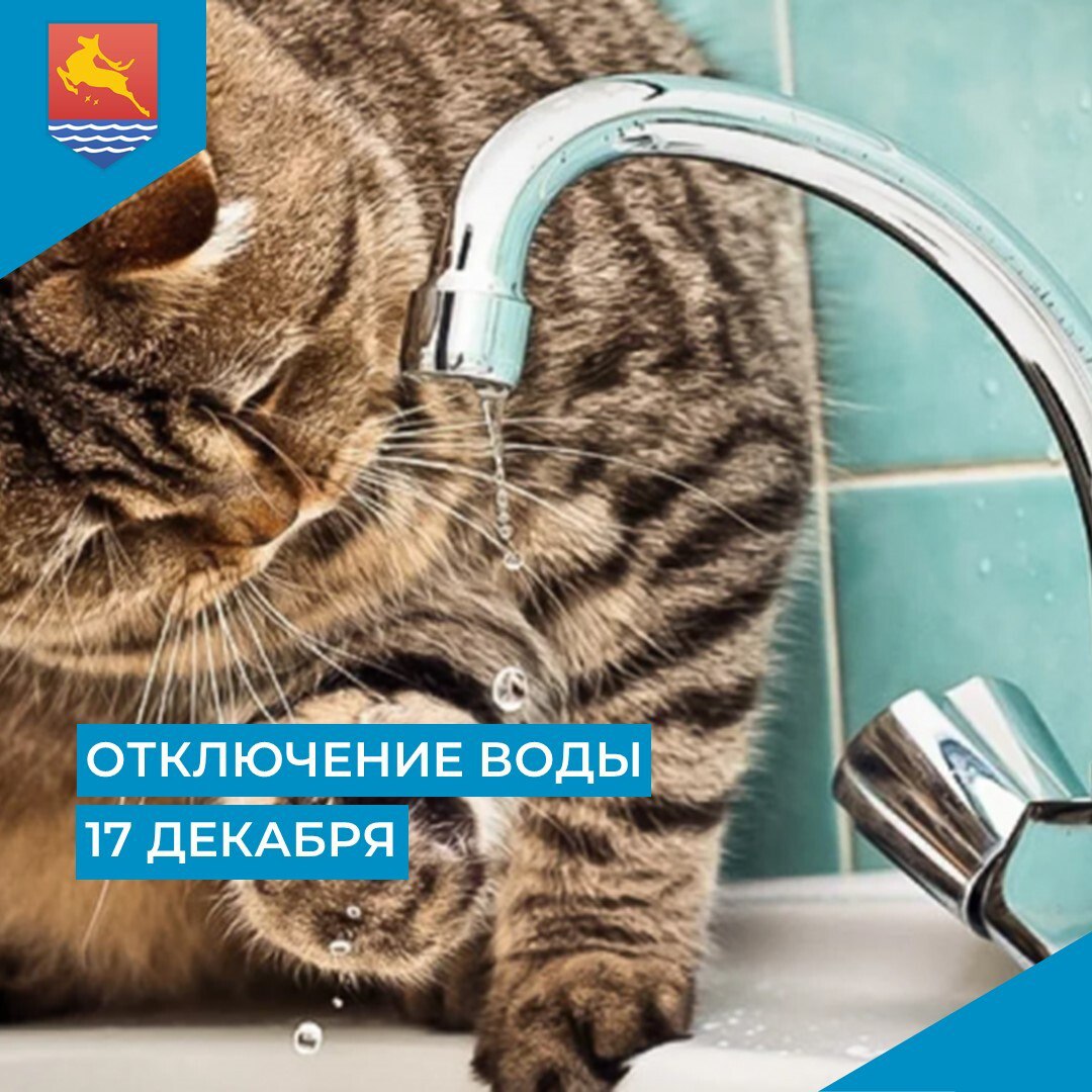 МУП «Водоканал» сообщает, что в связи с производством аварийных ремонтно-восстановительных работ в среду, 17 декабря с 9:30 до 13:30 отключат холодное водоснабжение на следующих улицах: