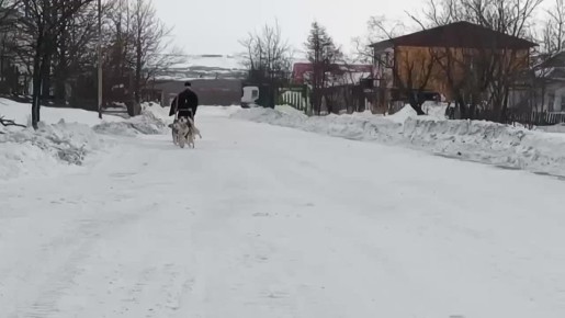 Колымский священник рассекает по Эвенску на собачьей упряжке