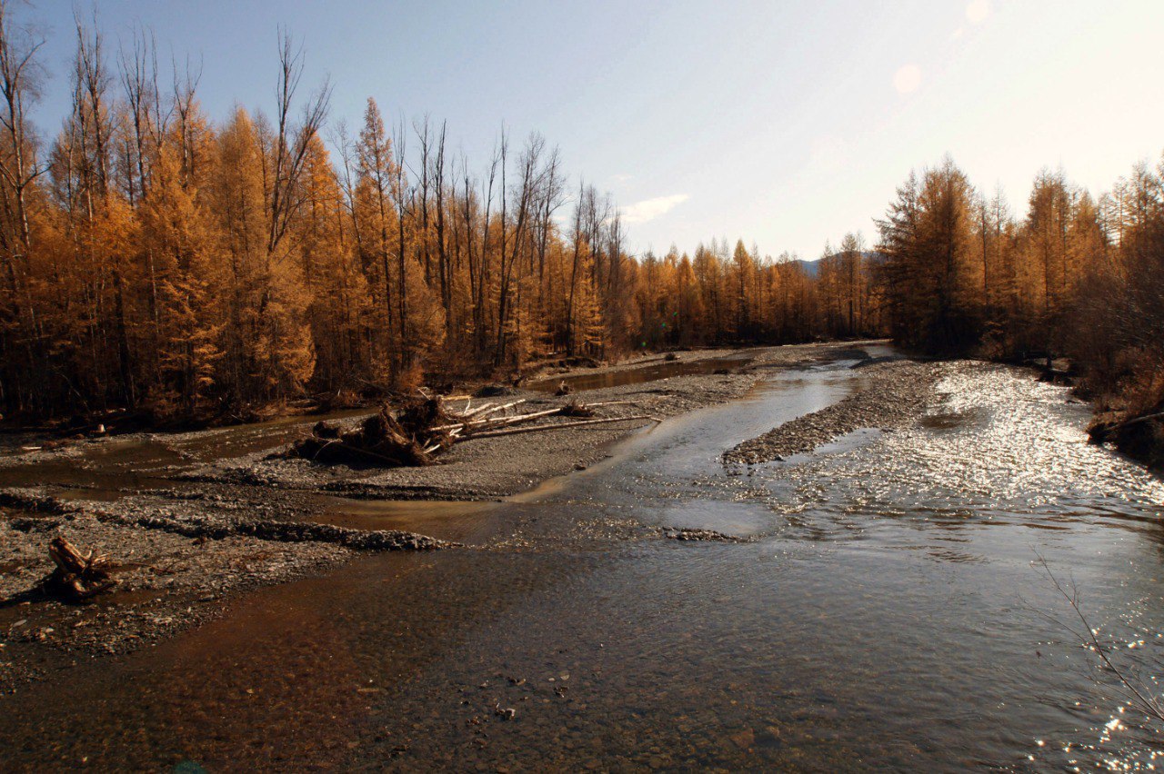 Совет Федерации одобрил закон об увеличении штрафов для граждан за загрязнение водных объектов