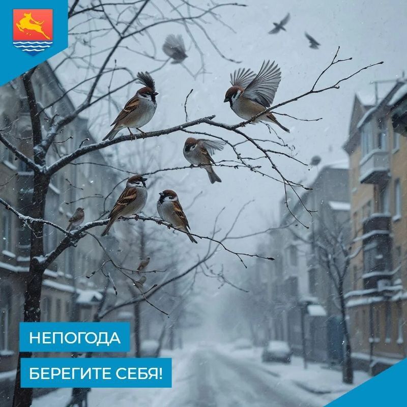 � �������� 17 ������� ������� ������, ������� ������-��������� ����� ����� 19-24 �/�, ���� 15-20 �/�