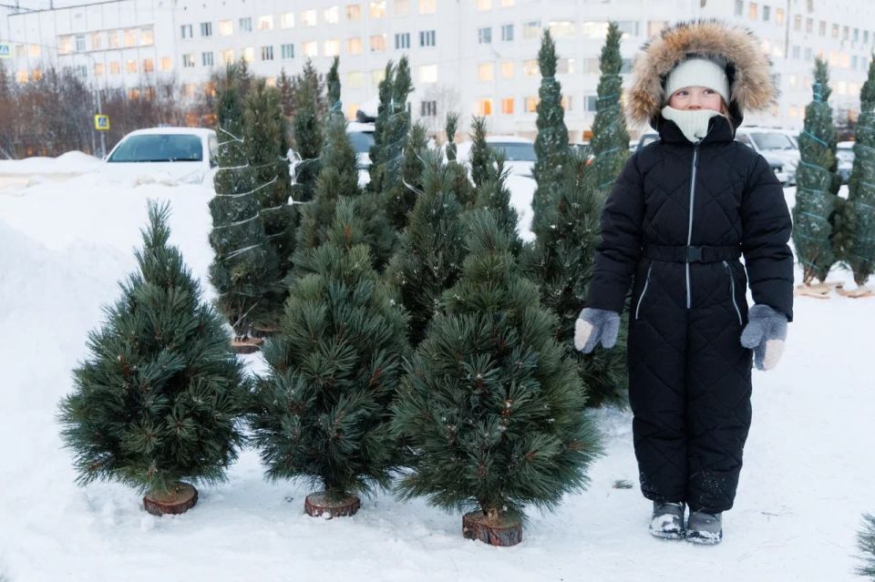 ������� ����� �������� � ��������