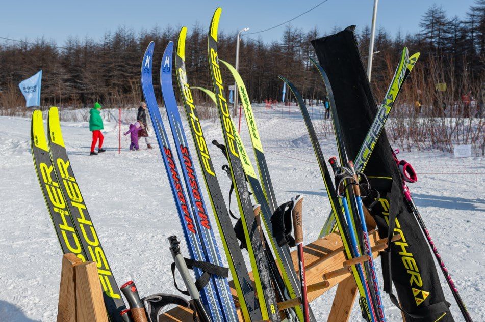 ��������� ���������� �������� ���� �������� � ������������� � ��������