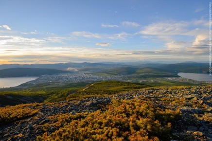 Уважаемые друзья!. Сегодня в 11.00 час. в пгт Палатка начинается первенство и чемпионат Магаданской области по боксу