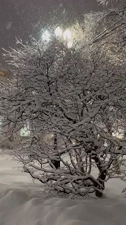 � �������� �����, 19 ������� ������������ ������� ����