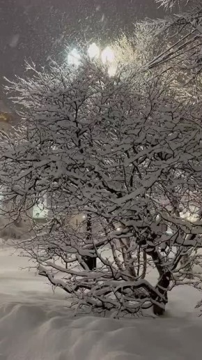 В Магадане ночью, 19 декабря прогнозируют сильный снег