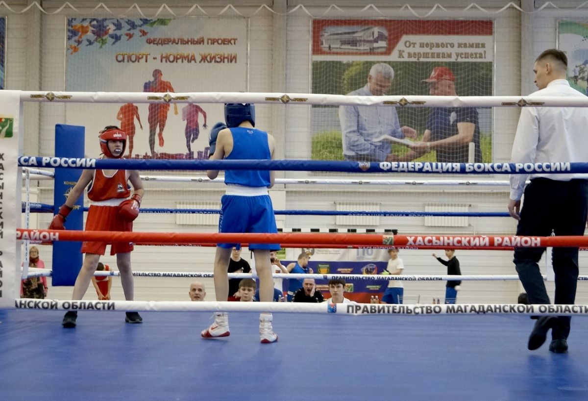 Областной чемпионат и первенство по боксу на призы концерна «Арбат» впервые проходят в колымской Палатке