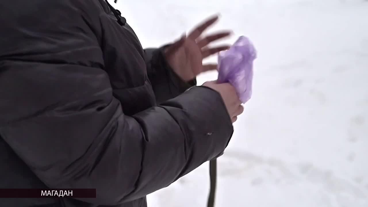 В этнопарке «Дюкча» планируют организовать стойки с пакетами и совками для уборки после выгула собак