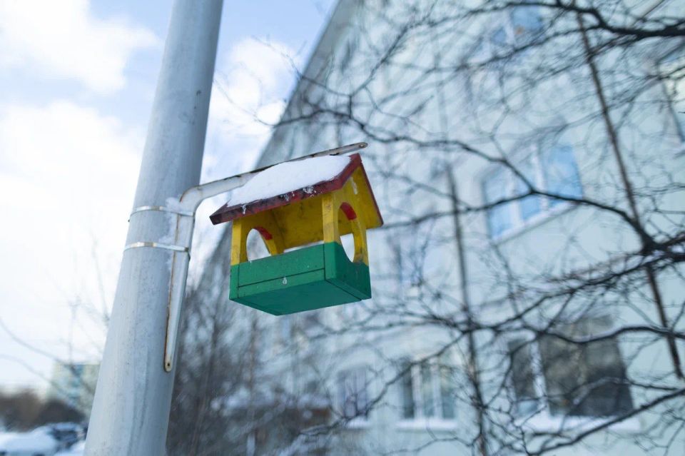 �� �������� -13