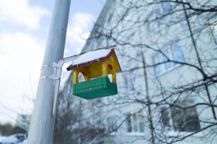 �� �������� -13