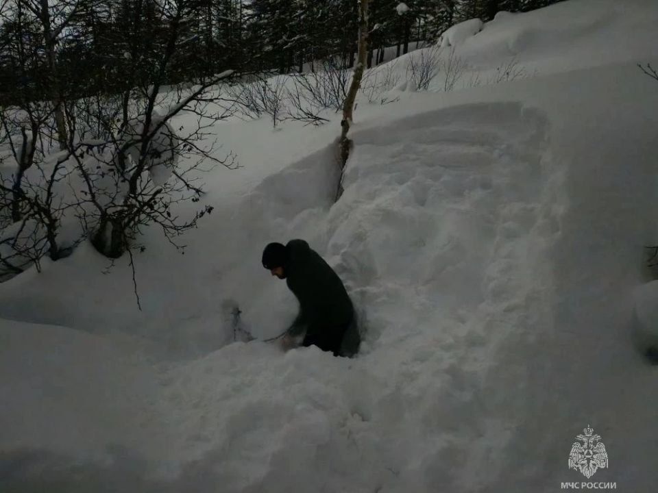 ��������� ���������� � ������� ������ ����� � �� ��� ���������