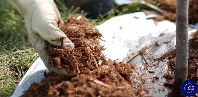 ���-3 ������ ���������: ��� �� ��������� ����� ��������