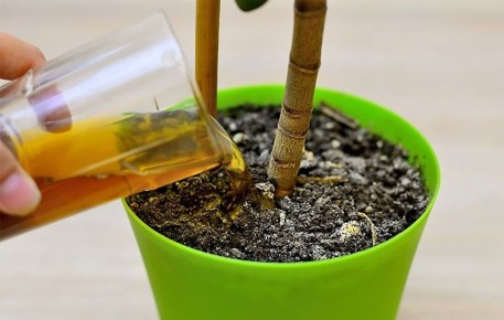 ����������� ���������� ������ ���������: 7 ������������ �������� ��� ������ ����