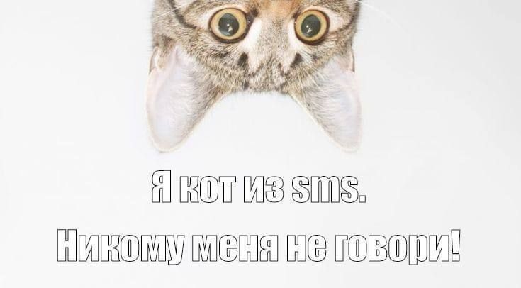 ������� ������ ����������! �� ��������� ������ ��� �� ���!