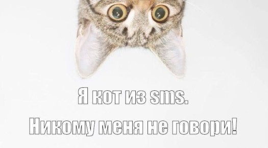 ������� ������ ����������! �� ��������� ������ ��� �� ���!