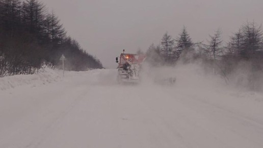 ������ ������ �� ������� ������ �������� - ���� - ���������