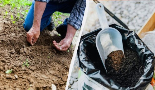 ������� �������� ������� �������: ��� �������� � ����� ��� �������� �����