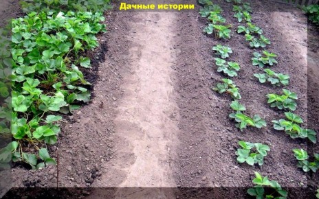 �������� ������: ��� ��������� ���������� ��� ���������� � �������� ������