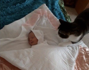 �������� �������� �������� �������� �������� ����� � ������� �� �������