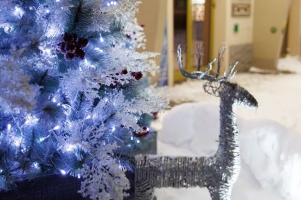 � �������� -17