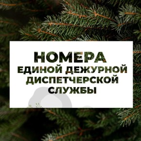 При авариях и непредвиденных ситуациях в новогодние праздники звоните в ЕДДС