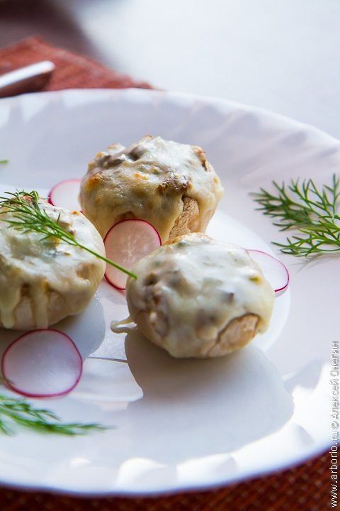 ������������� ����������: ���������� �����������