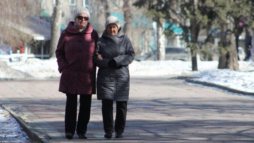 � 2026 ���� ����������� ������� ������� ��������� ������