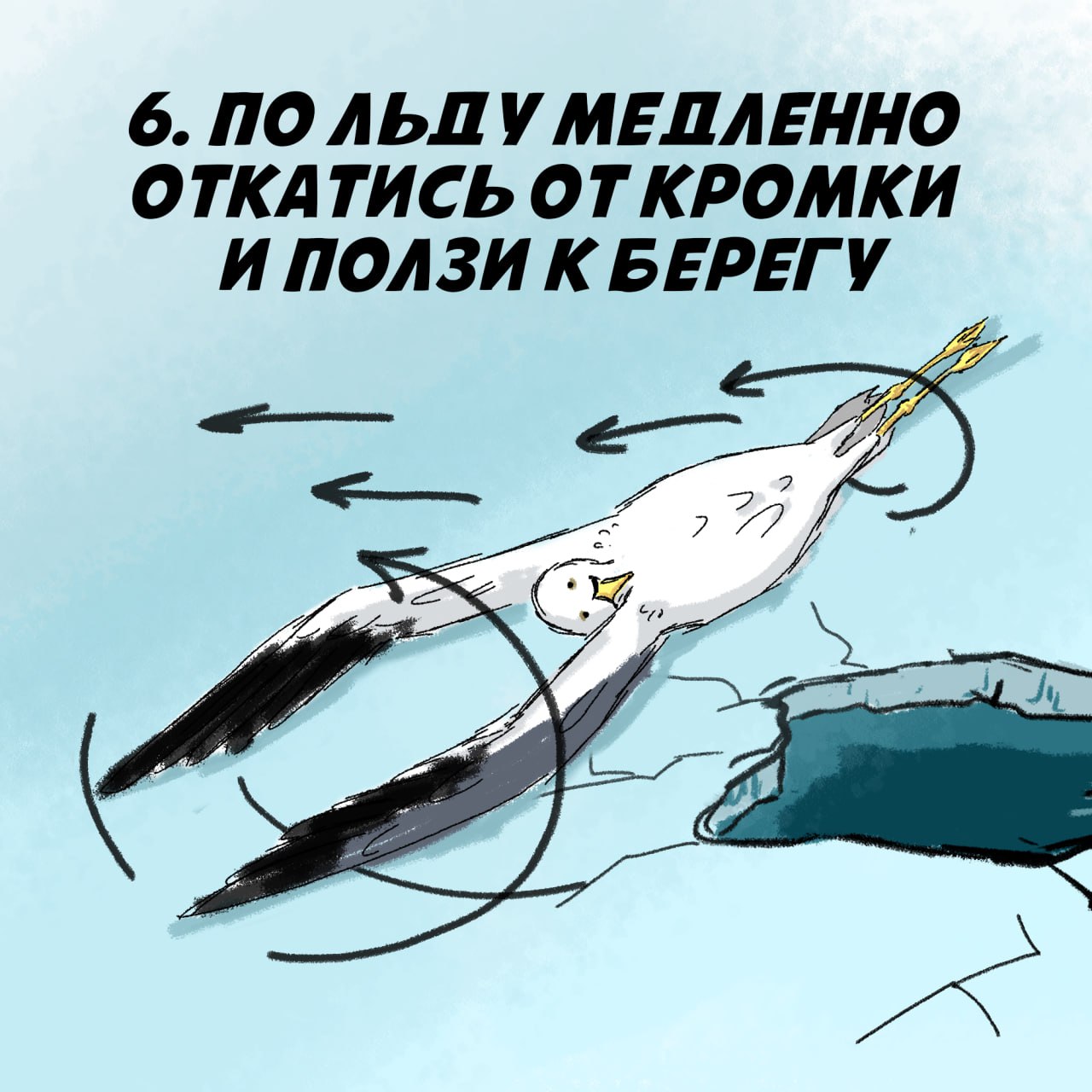 Правила безопасности на водоемах Правила безопасности на водоемах