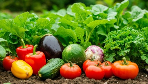 Как избежать штрафов при продаже излишков урожая: практические советы