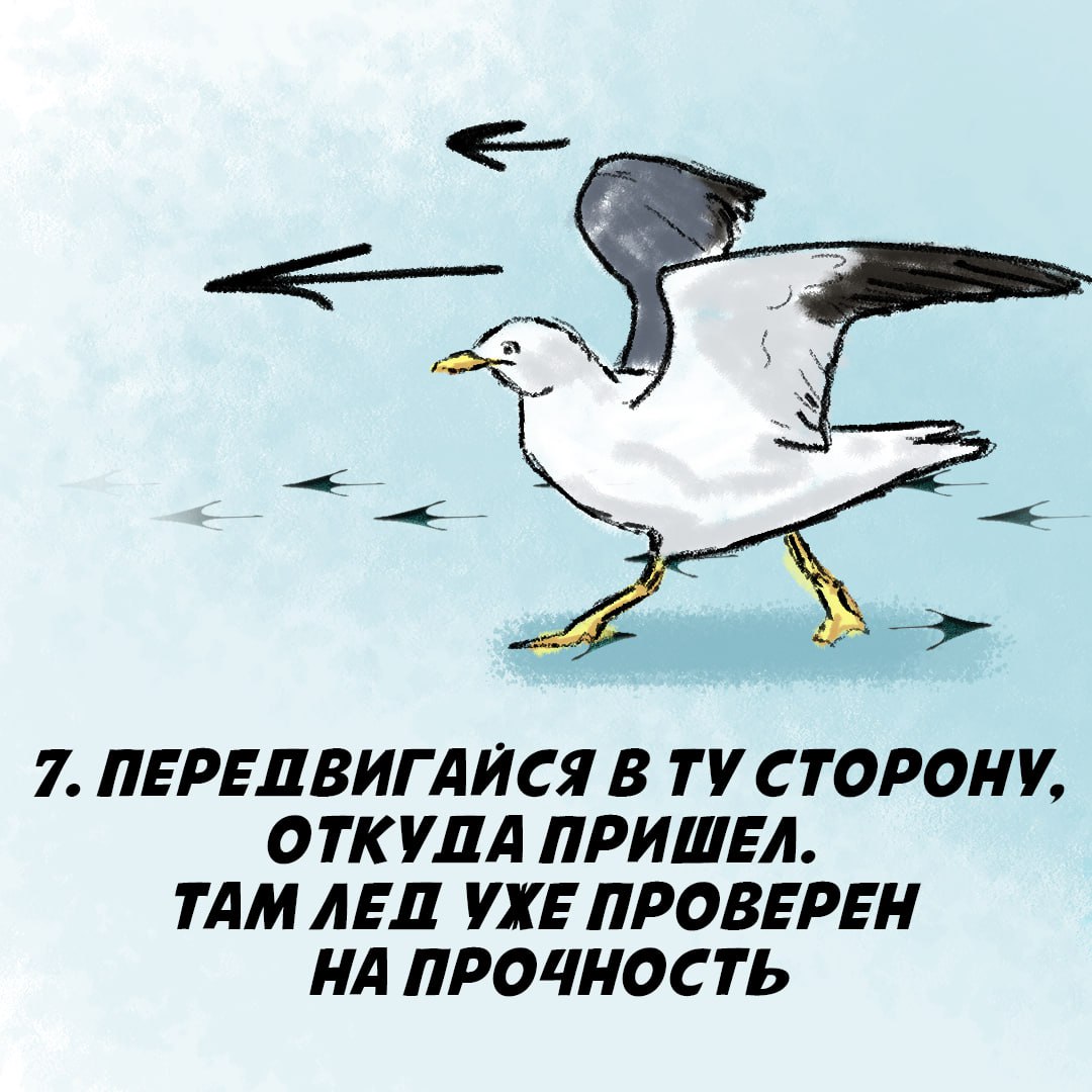 Правила безопасности на водоемах Правила безопасности на водоемах