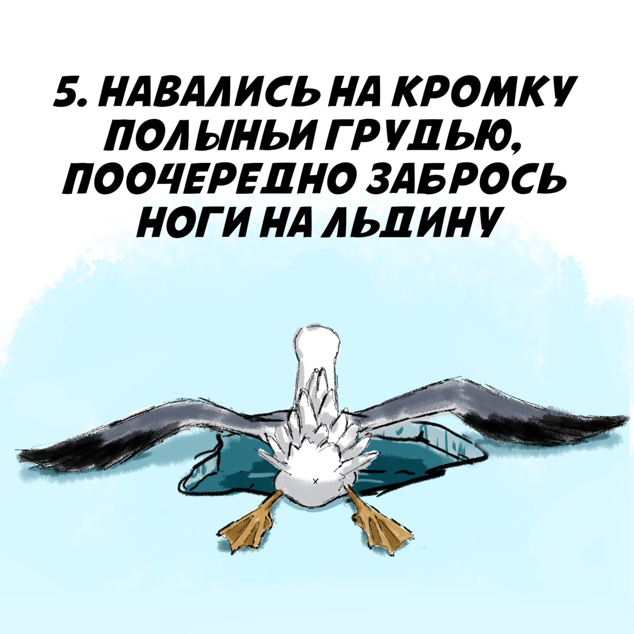 Правила безопасности на водоемах Правила безопасности на водоемах