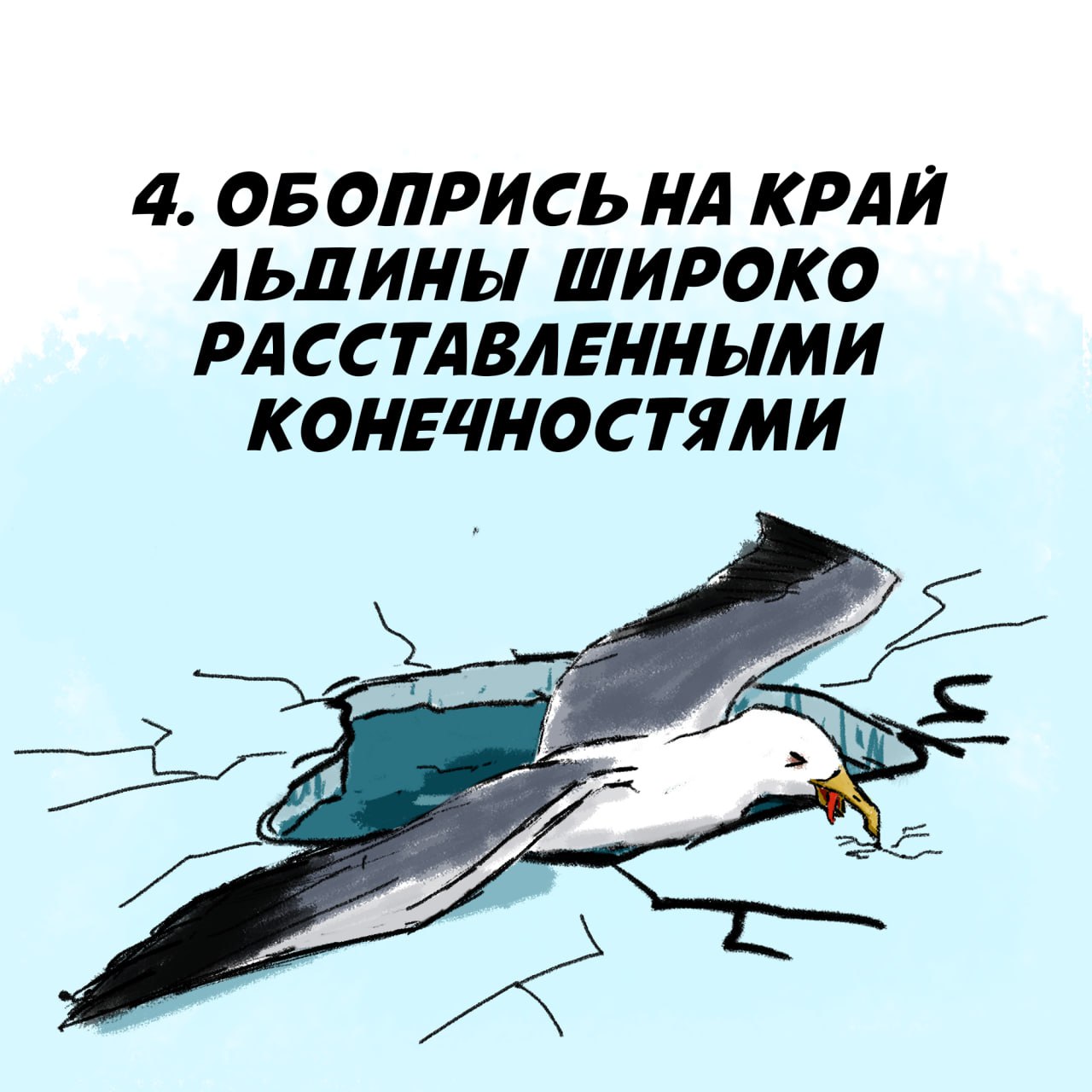 Правила безопасности на водоемах Правила безопасности на водоемах