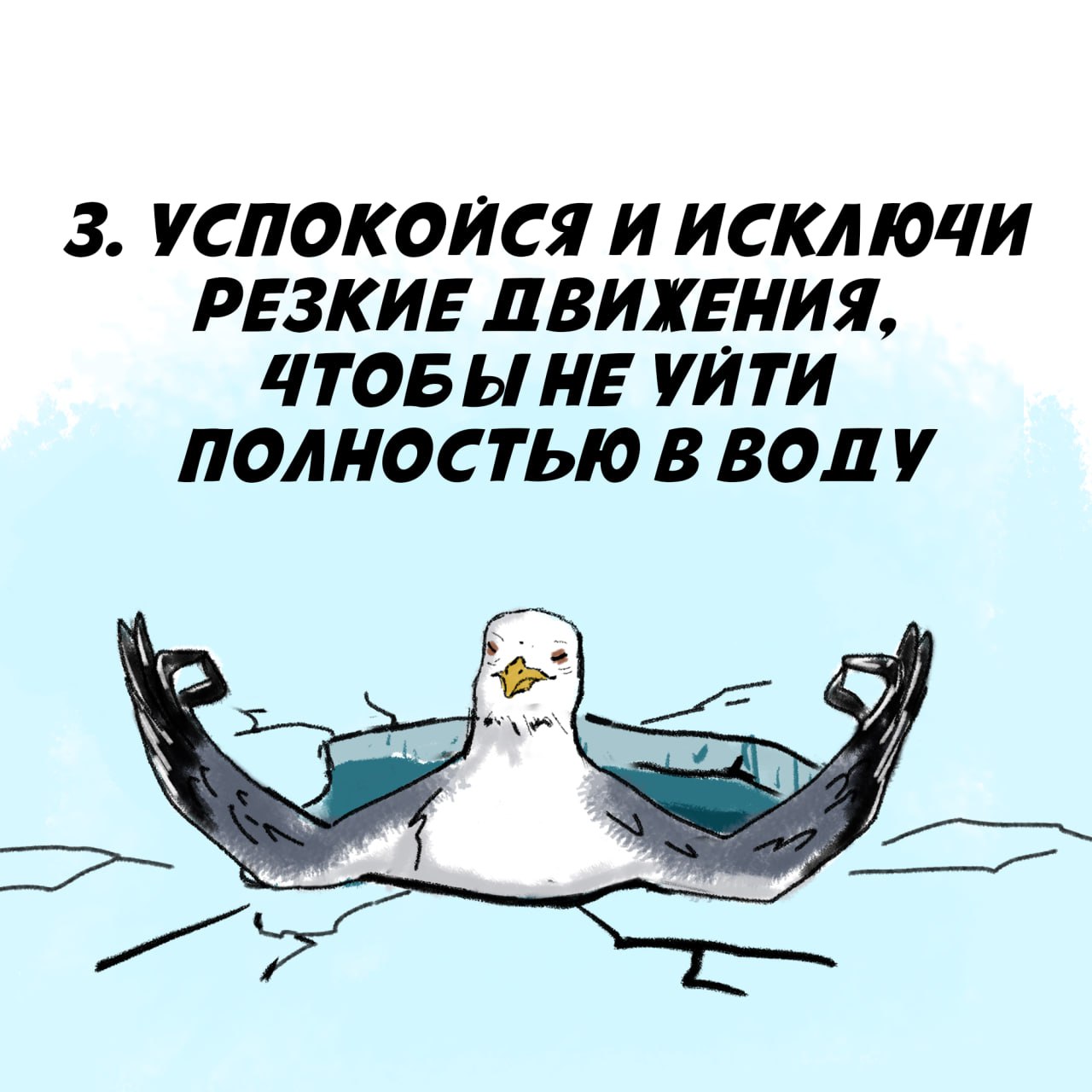 Правила безопасности на водоемах Правила безопасности на водоемах