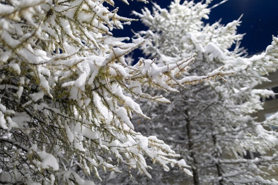 � �������� -16