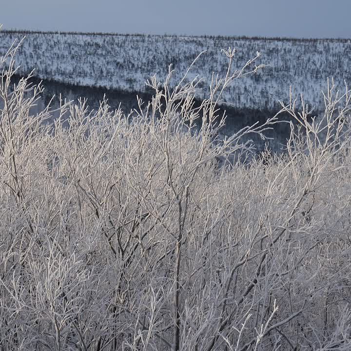 �������-����� ��� "������" �������� ������ ������������ ���������, � ������������ �� ��� ����� �������������� ��������