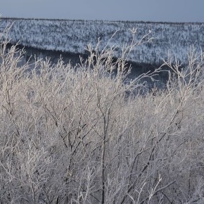 Магадан-Сокол ФАД "Колыма" является важным транспортным маршрутом, и безопасность на ней имеет первостепенное значение