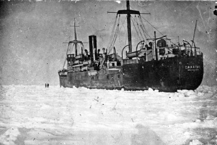 ����������� 95 ��� ����� ������ ����������� ��������� ���� �� ������� �� ����� �� ���� � �������