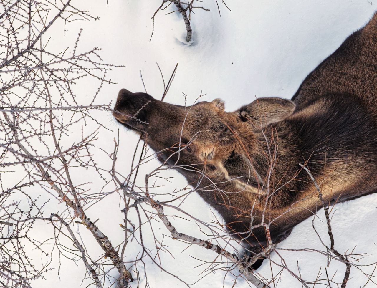 В субботу, 10 января, в Магаданской области преимущественно облачно