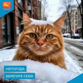 Завтра, 10 января в Магадане ожидается северо-восточный ветер 15-20 м/с с метелью