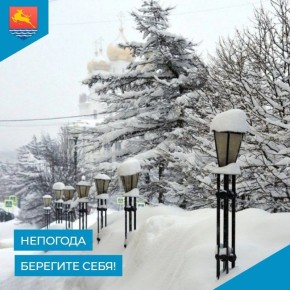 � �������� ����� 12 ������ ��������� ����� ������-��������� 15-20 �/� � �������