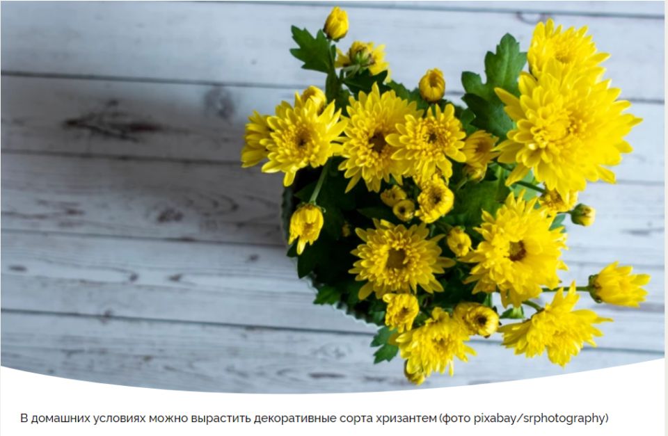 ��������� ����������: ������� ����� � ������