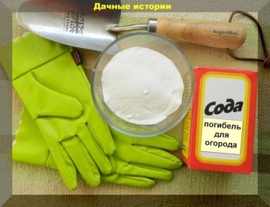 ������ ���� �� ������ �������� �� �������: ������������ ����