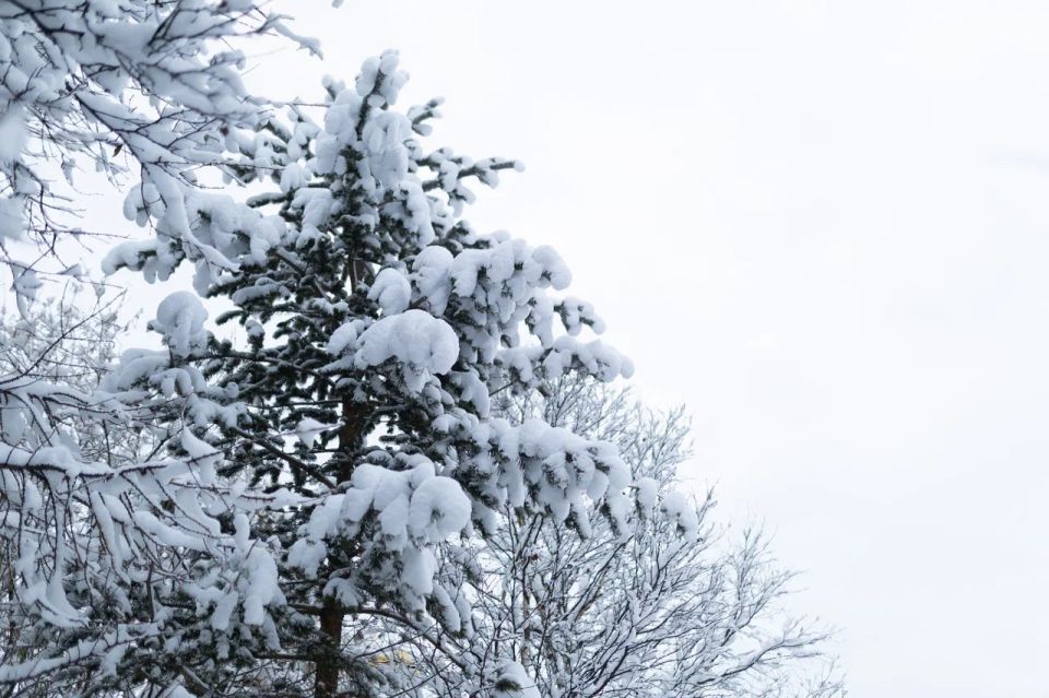 � �������� -8