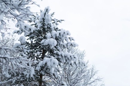 В Магадане -8