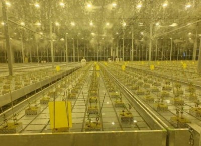 ������ ������ ��������� ������� � ����� ��������� ��������� � ��������