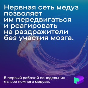 ������Ȼ � �������� ������-���������� �� �������� �� ������� �����