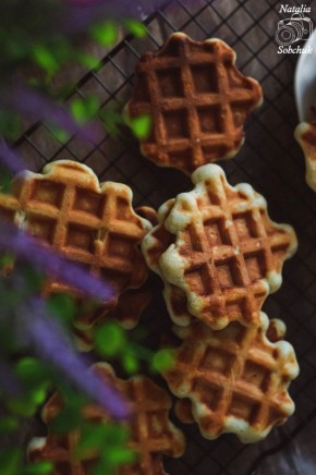 ��������� �����: �������� � ������ � ������ ������