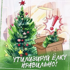 Живая ёлочка отслужила свое? Утилизируйте ее правильно!