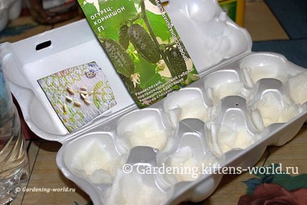 ��������� � �����������: ��� ���������� ������� ������������ ��������� �������� ��� ����� ��������