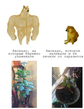 ������ ����� �������� ������ ����� �������� ������� ����?